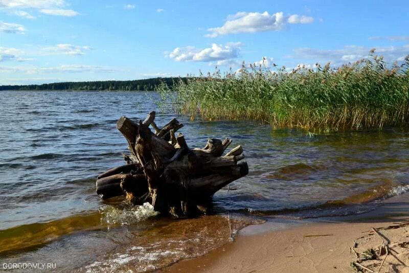 Остров Городомля. Селигер Городомля дом. Озеро Селигер остров Городомля.