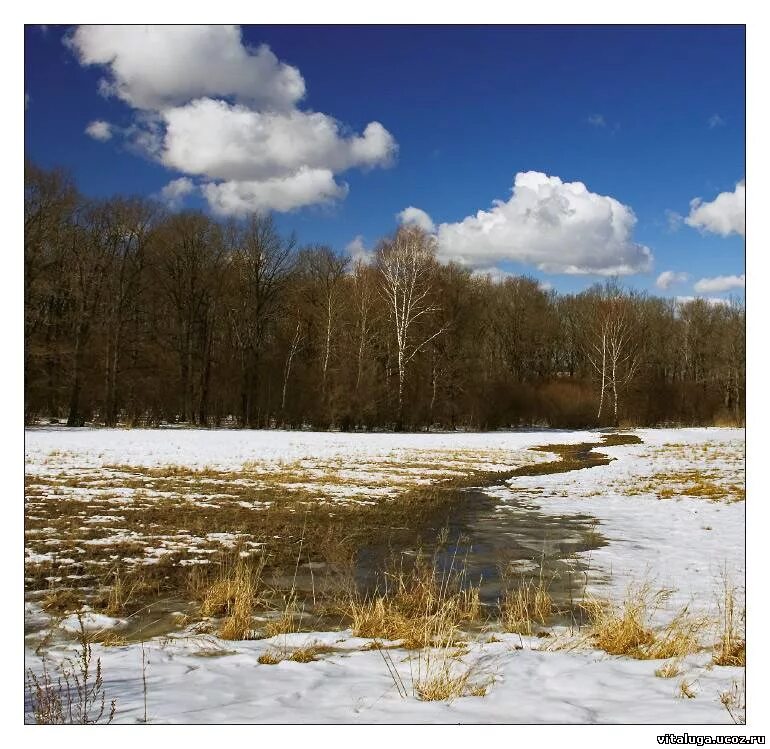 Апрель природа. Черные проталины. Луг ранней весной. Последний снег в лесу. Ручейки весной.