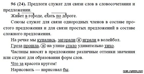 Разумовская 6 класс упражнение 24. Русский язык 6 класс упражнение 191. Разумовская 6 класс упражнение 24. Разумовская русский язык 6 класс упражнение 24. Упражнение 24 по русскому языку для 6 класса.