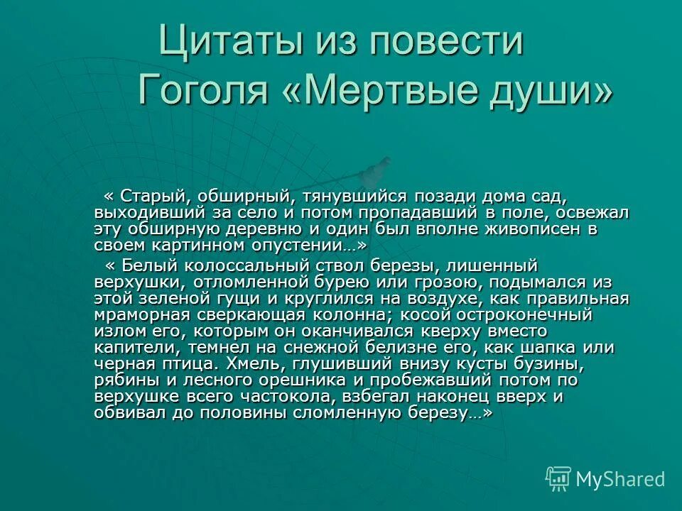 Старый обширный тянувшийся позади дома сад выходивший