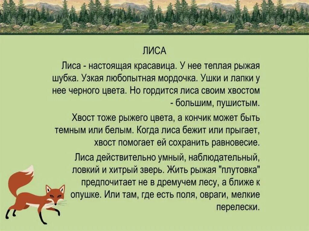 Описать дикого животного. Текст описание о лисе 2 класс. Рассказ про лису. Сочинение описание про лису. Описание про лису.