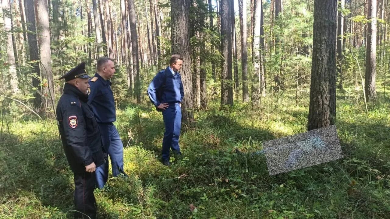 Вчера нашел в лесу. Полиция в лесу. человек заблудился в лесу.