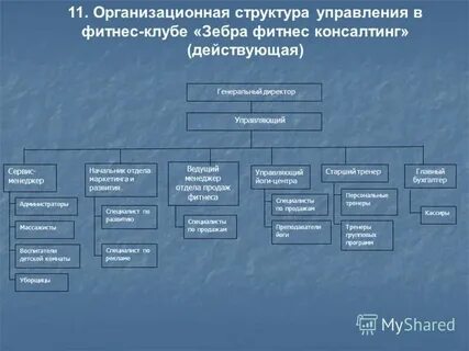 Характеристика элементов организационной структуры управления
