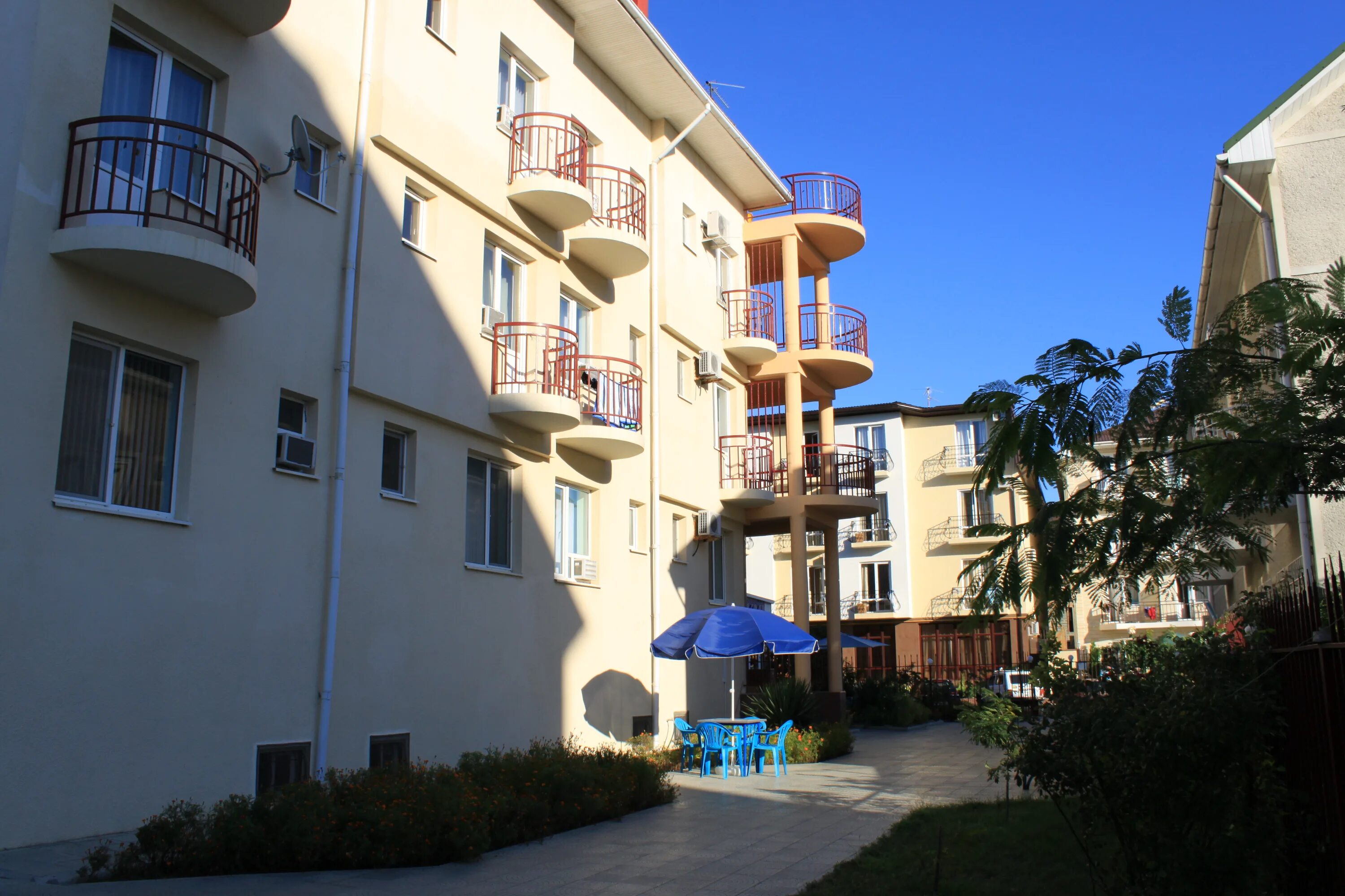 черноморочка