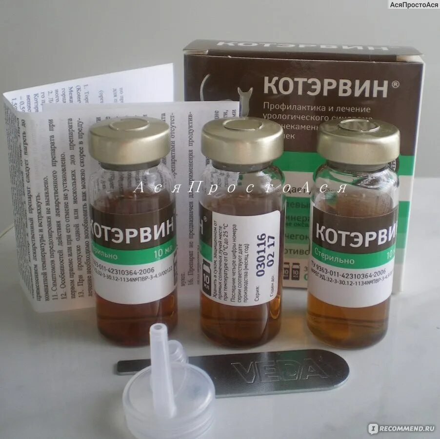 Котэрвин дозировка для кота. Котэрвин. котэрвин таблетки. котэрвин фитодиета.