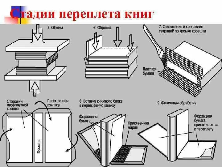 Первый этап книга. Крепление твердый переплет. Конструкция переплета. Переплет книжного блока. Брошюровочно-переплетные процессы.