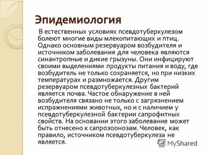Условия заражения человека псевдотуберкулезом