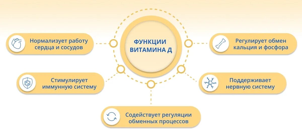 Когда лучше принимать витамин д3 утром или
