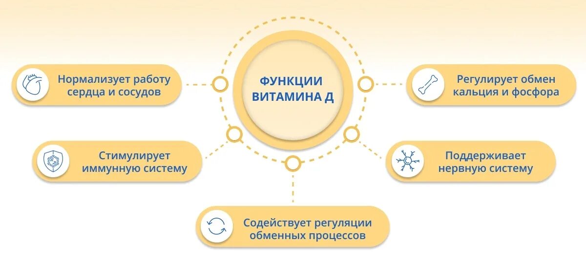 Как правильно пить д3 взрослым. Витамин д3 функции. Витамин д3 показания к применению. Функции витамина д. Витамин d функции.