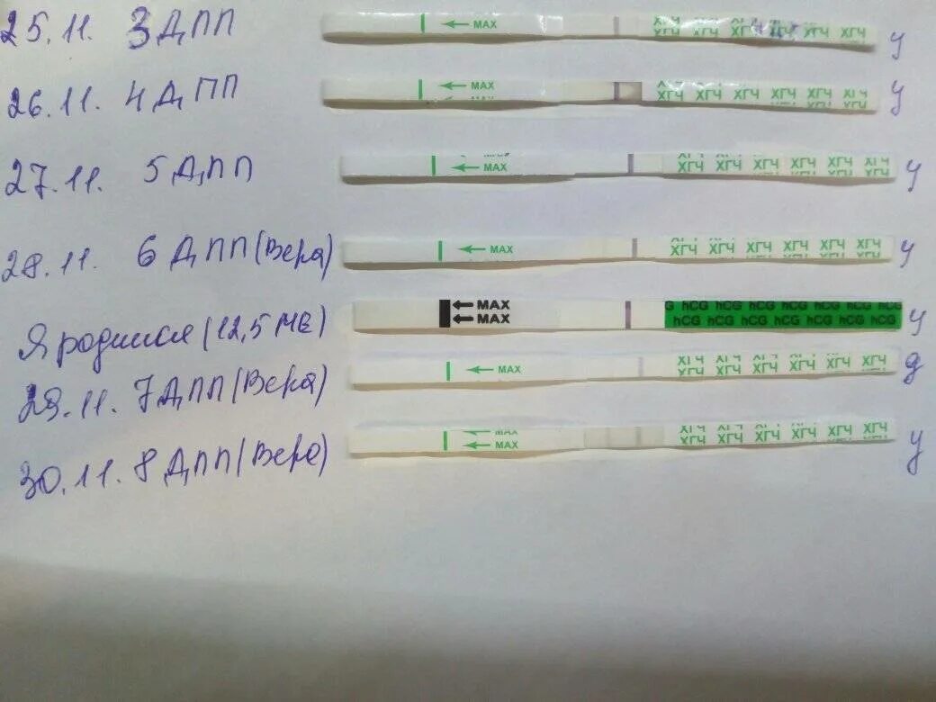 6 ДПП эмбрион ХГЧ. ХГЧ на 6 ДПП. ХГЧ на 5 ДПП. ХГЧ на 6 день после подсадки эмбриона.