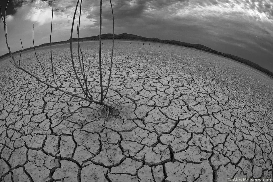 жизнь земли без солнца. солнце главный источник жизни на земле. земля без солнца. солнце источник света тепла и жизни на земле. земля без жизни.