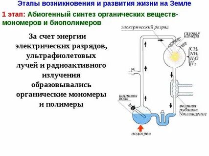 Первый синтез органического вещества