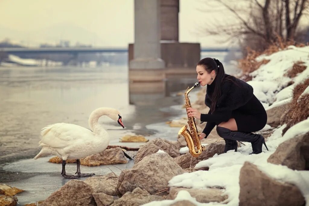 Я бы душу отогреть mp3. Девушка лебедь. Романтический саксофон. Саксофонист зимой. Девушка кормит лебедей.