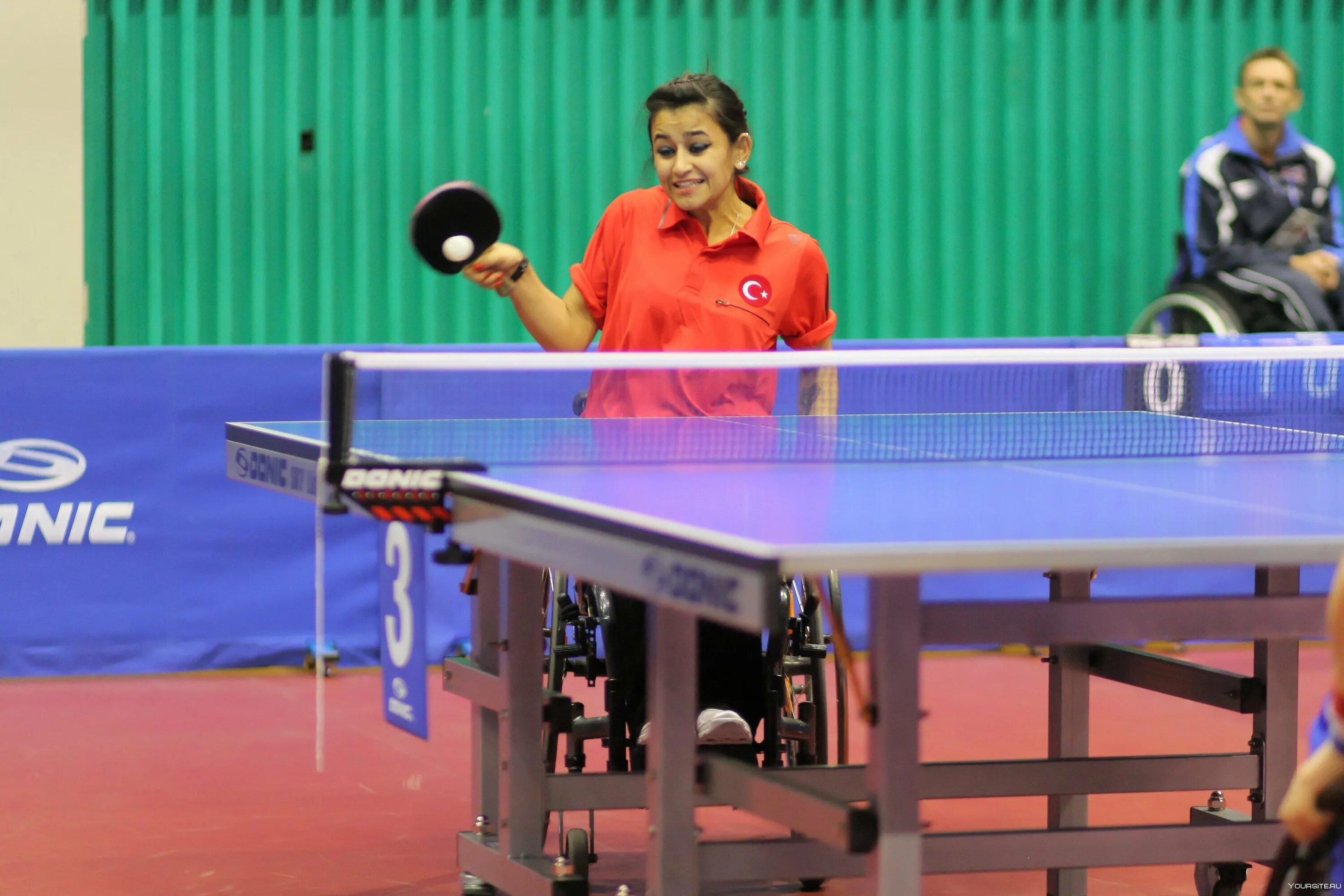 Настольный теннис. Настольный теннис. Ping pong игра. Соревнования по настольному теннису. Контакты настольного тенниса.