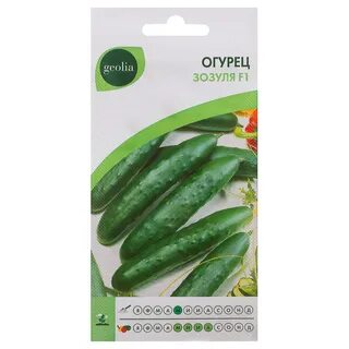 Сорт огурцов зозуля