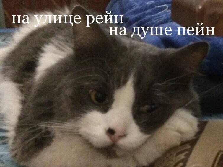 На улице рейн на душе пейн мем. На улице rain на душе. Нагато пейн шинра тенсей. На улице rain на душе. Max payne 2 дождь.