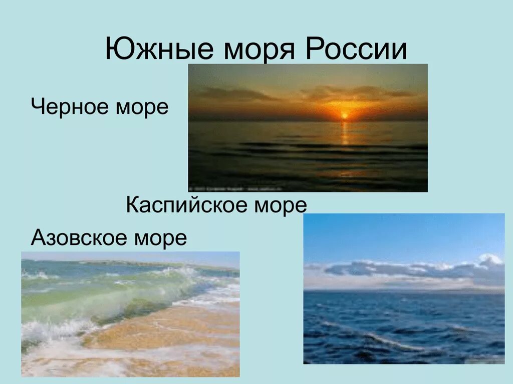 Южные моря россии 9