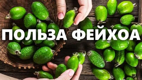 Как полезнее употреблять фейхоа