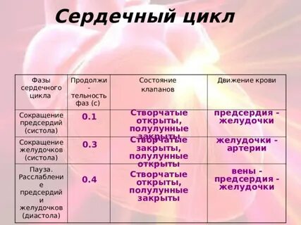 Какую фазу сердечного цикла желудочки наполняются кровью