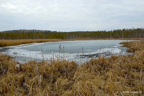Лебяжье свердловская область каменский