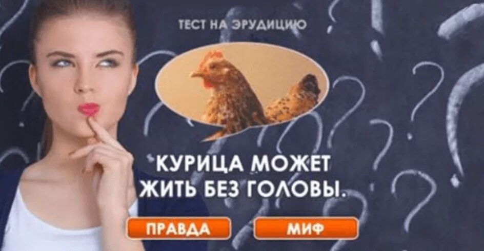 Тест на эрудицию 100 вопросов. Тесты на эрудицию. тесты на эрудицию и интеллект бесплатно. интересные тесты на эрудицию. занимательные тесты на эрудицию.