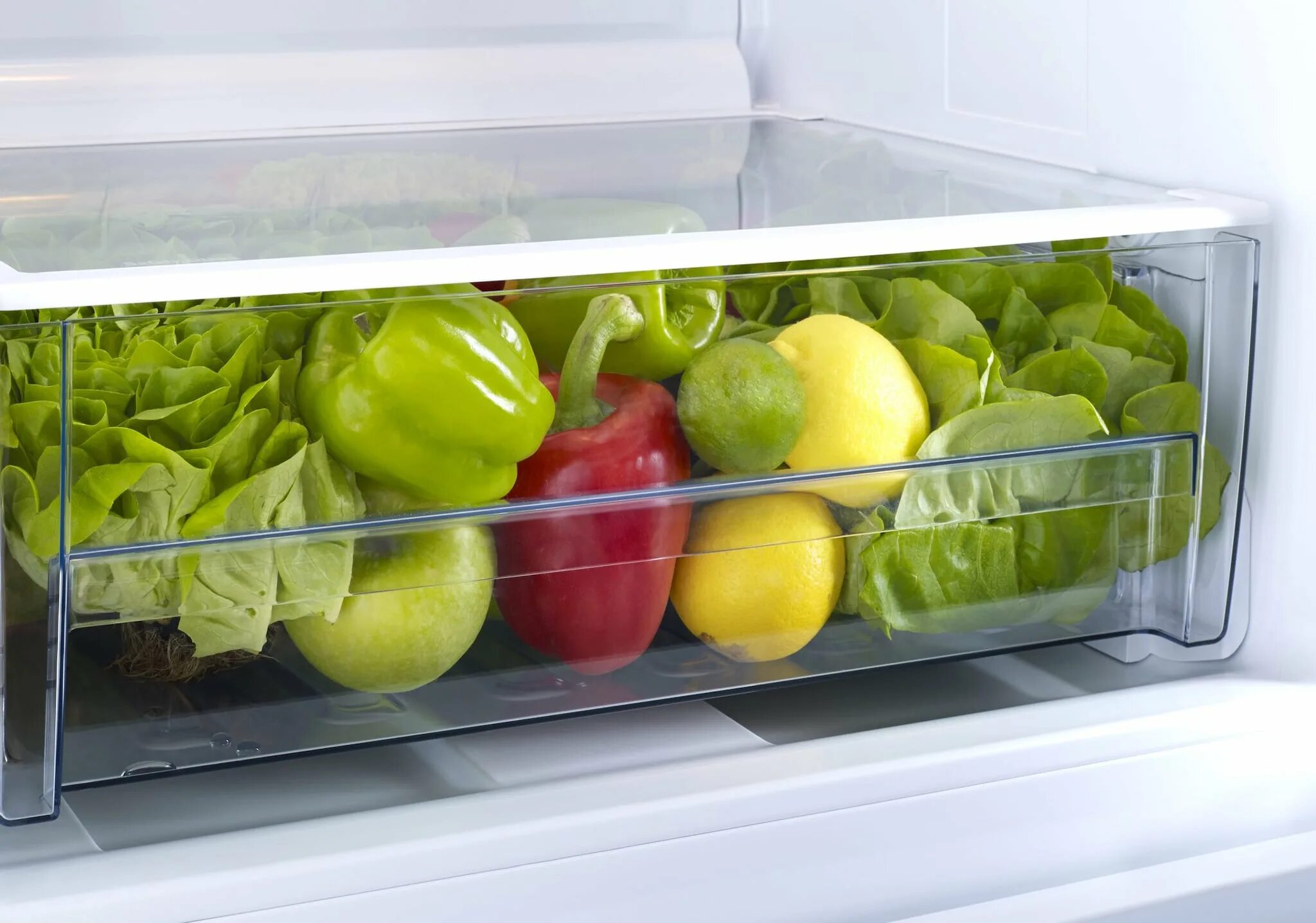 Можно хранить овощи в холодильнике. Crisper KS-1213. Ящик для овощей в холодильник. Овощной холодильник. Овощной ящик для холодильника.