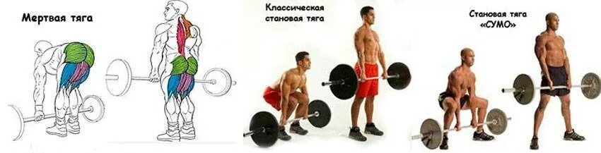 Почему называется тяга. Румынская становая мертвая. становая румынская и мертвая тяга отличия. мертвая.становая.румынская тяга техника. отличие мертвой тяги от становой.