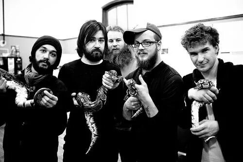 Protest the hero обложки. Protest the hero palimpsest. Protest the hero. Protest the hero 2022. Protest the hero 2022.