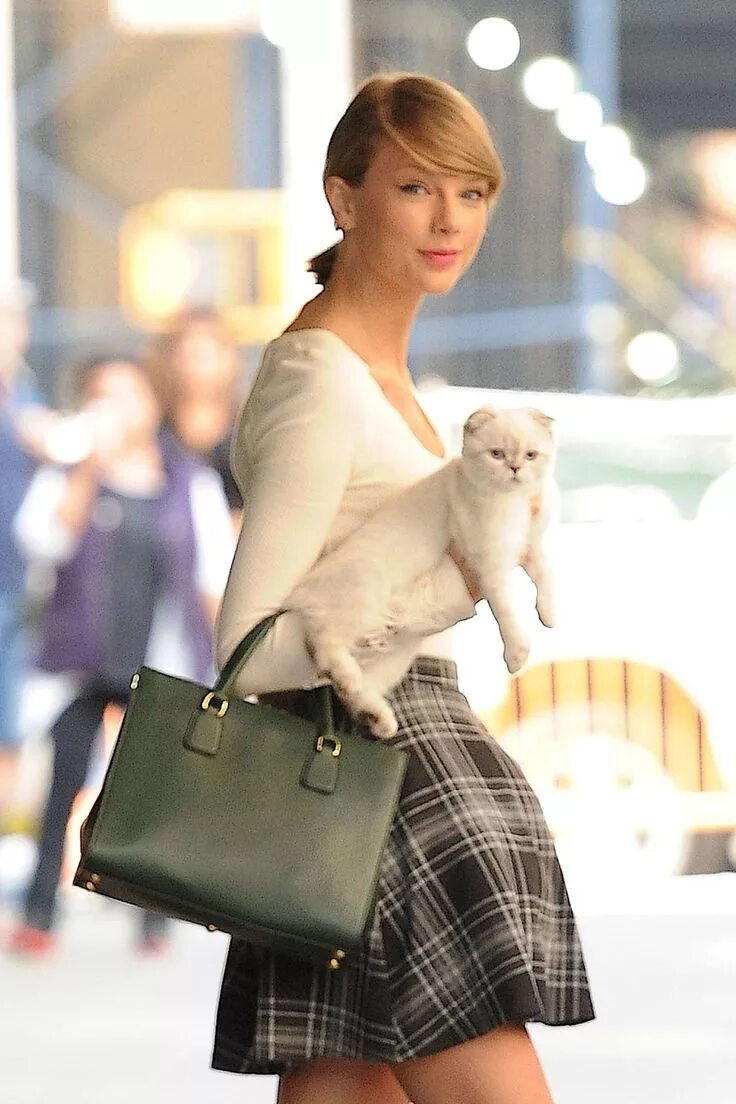 Swift cat. Оливия свифт. taylor swift cats. taylor swift кошка. taylor swift olivia.