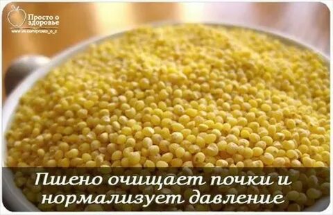 День пшена