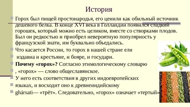 Сообщение о горохе. Рассказ о горохе. Горох описание для детей. Доклад про горох.