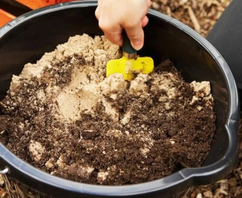 Можно ли сажать в песок. Песок для посадки. Грунт для посадки. Песок для посадки растений. Подготовка земли для рассады.