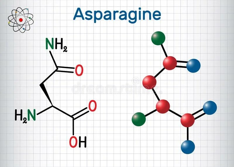 N2o формула кислоты. название so2 в химии. формулы соответствующие кислоты.