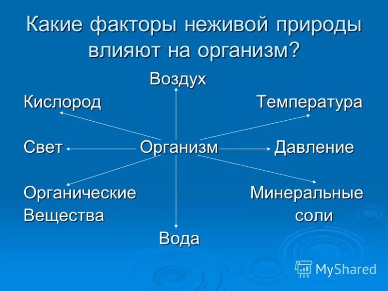 Факторы неживой природы 5 класс биология