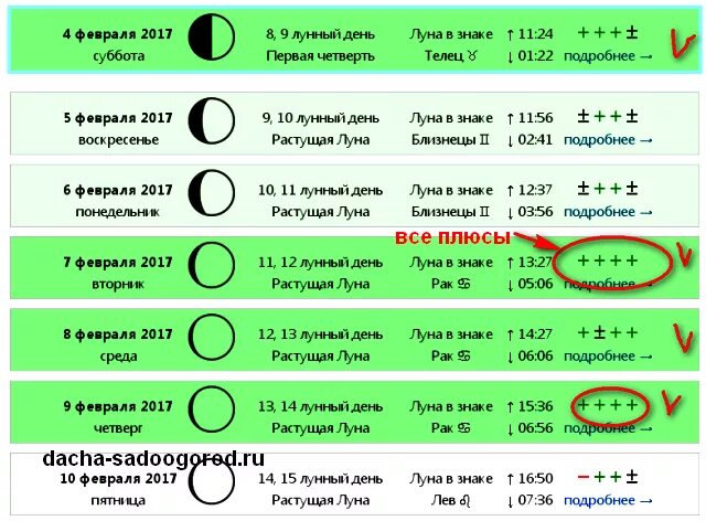 благоприятные дни для посева в феврале. февраль посадка перцев благоприятные дни. благоприятные дни для посева семян перца. благоприятные дни в феврале для посадки овощей. февраль посадка перцев благоприятные дни.