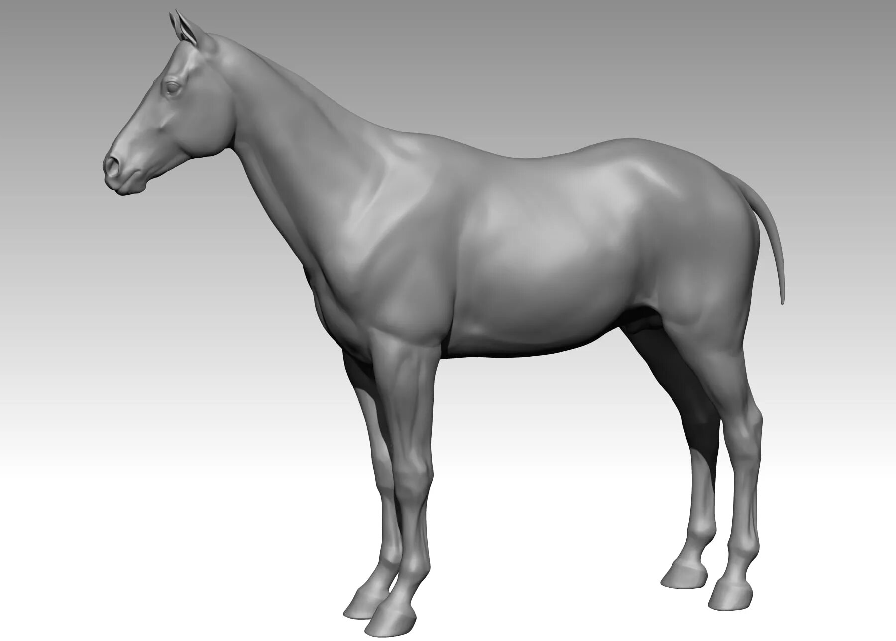 Horses model