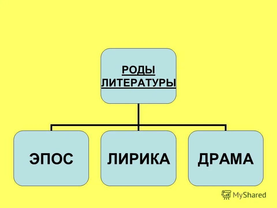 Назвали род