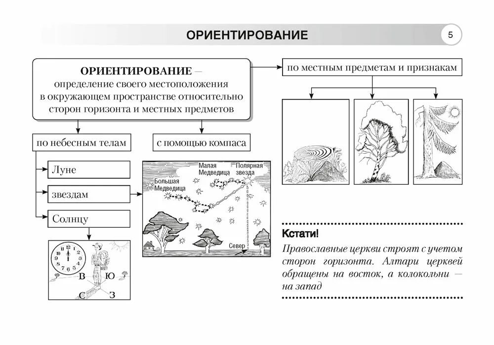 Уроки обобщения по географии. Конспект по географии. Опорный конспект по географии. Конспект по географии 6 класс. Географический конспект.