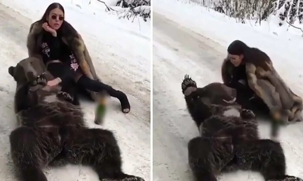 Девушка в шубе медведя. Медведь и женщина. Медведь в шубе. Девушка с медведем фото. Медвед молодежь