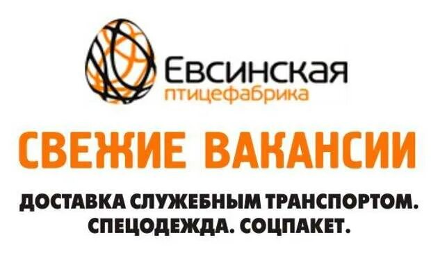 Новосибирская птицефабрика логотип. Грузовик евсинская птицефабрика. Яйцесклад на птицефабрике. Яйцо куриное (10 штук). Евсинская птицефабрика сайт.