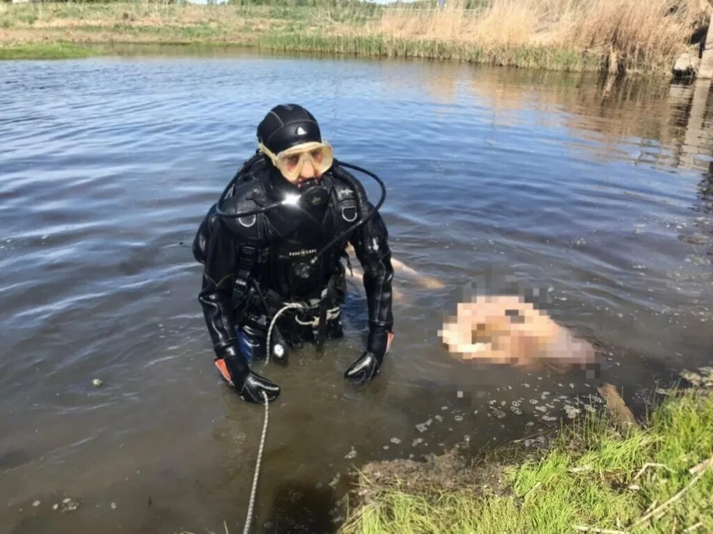 Водолаз фото.