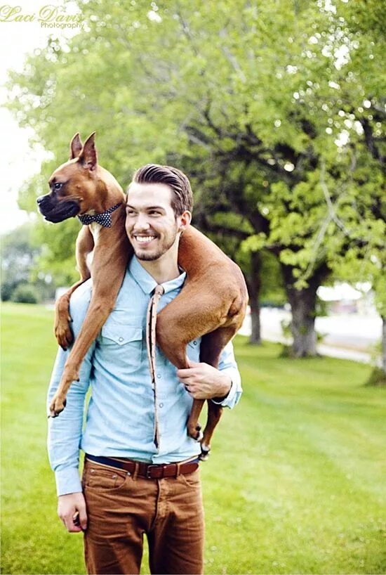 Épinglé par Micha 4mk sur Men and Animals Chien, Homme muscle, Chiens de sauveta