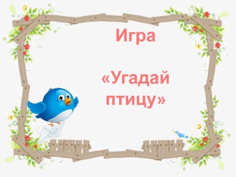 Игра угадай птицу. Угадай птичку игра. игра отгадай птицу. угадай птицу презентац.