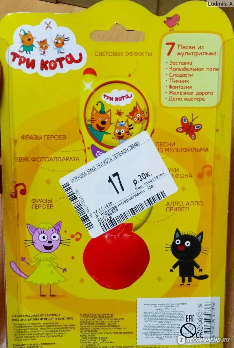 Три кота песенки тексты. Текст песни 3 кота. Три кота задания. Три кота пикник книга. Три кота песенки тексты.