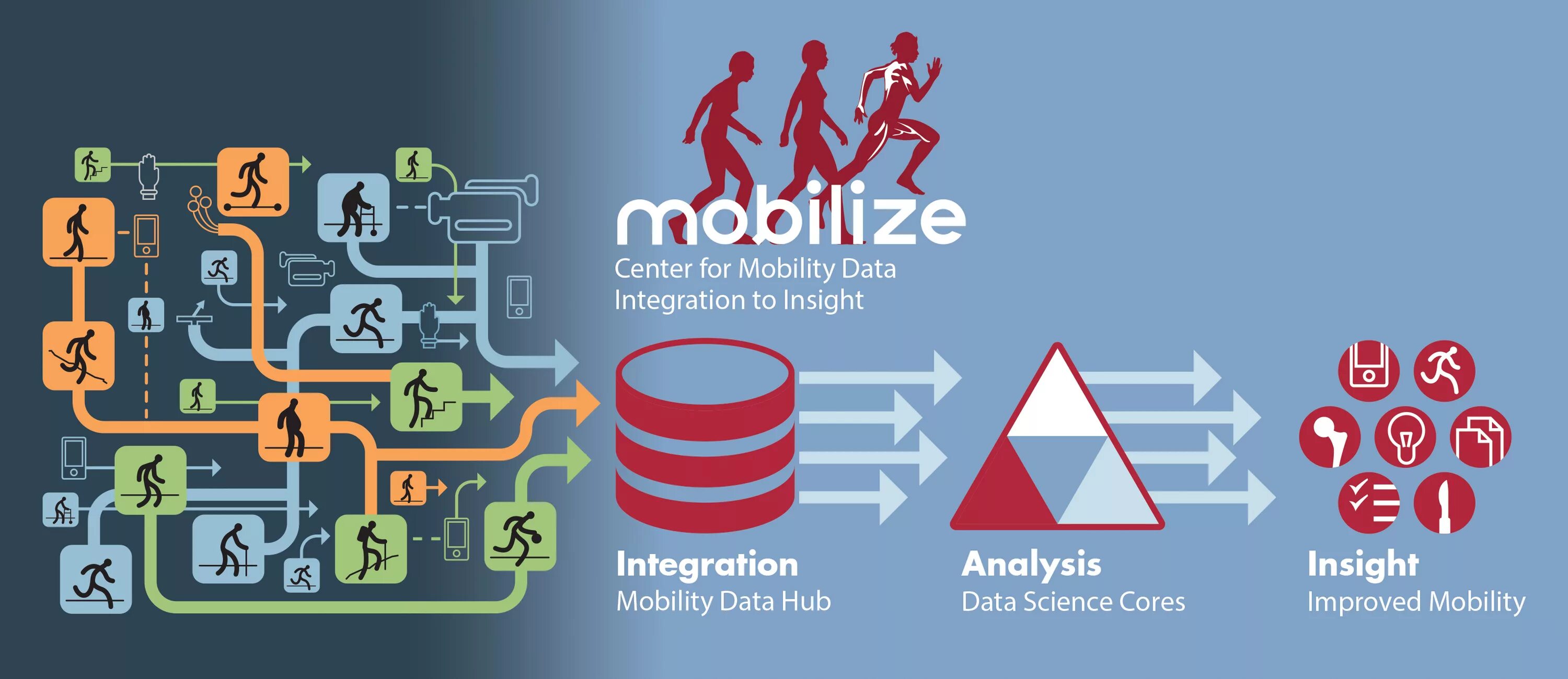 Data insight. Big data. big data and data science. что такое инсайты в спорте.