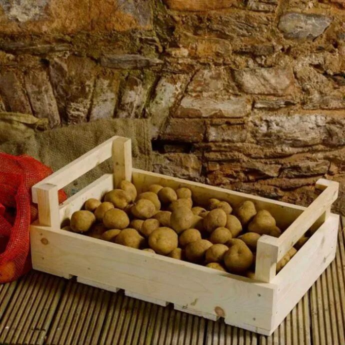 Хранение овощей доме. Ящик для хранения картошки в погребе. Ящик для картошки в погреб. Ящик для картофеля в погреб. Ящики для хранения картофеля в погребе.