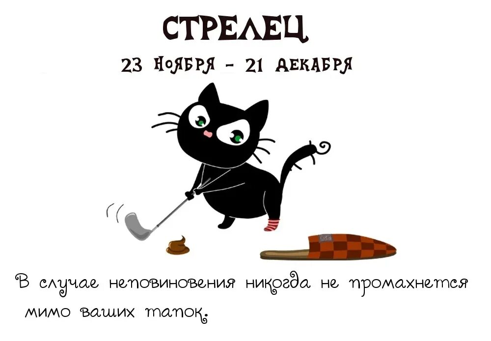 Любить надо так чтобы пройти мимо ста лучших и ни разу не обернуться. Любимая женщина соперниц не имеет. Буду мимо случая. Мемы с надписями. Стрелец юмор.