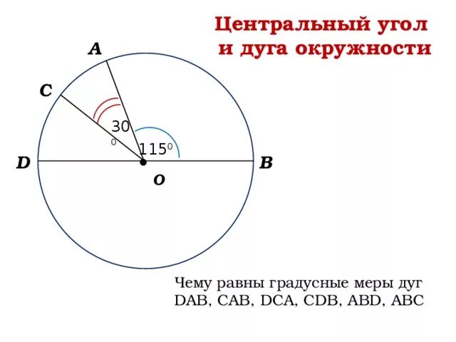 Найдите градусную меру угла на рисунке 56. Угол дуги окружности. Как найти центр круга. Углы в окружности. Центральный угол и дуга.