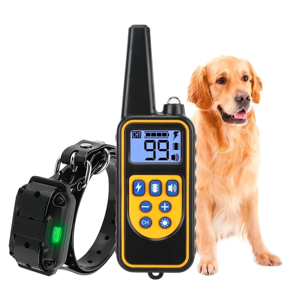 Электронный ошейник для дрессировки собак dog training collar t166. Ошейник для дрессировки собак с пультом. Электроошейник rt 880. Электронный ошейник для дрессировки собак dog training collar t166. Электро ошейники для собак с пультом управления.