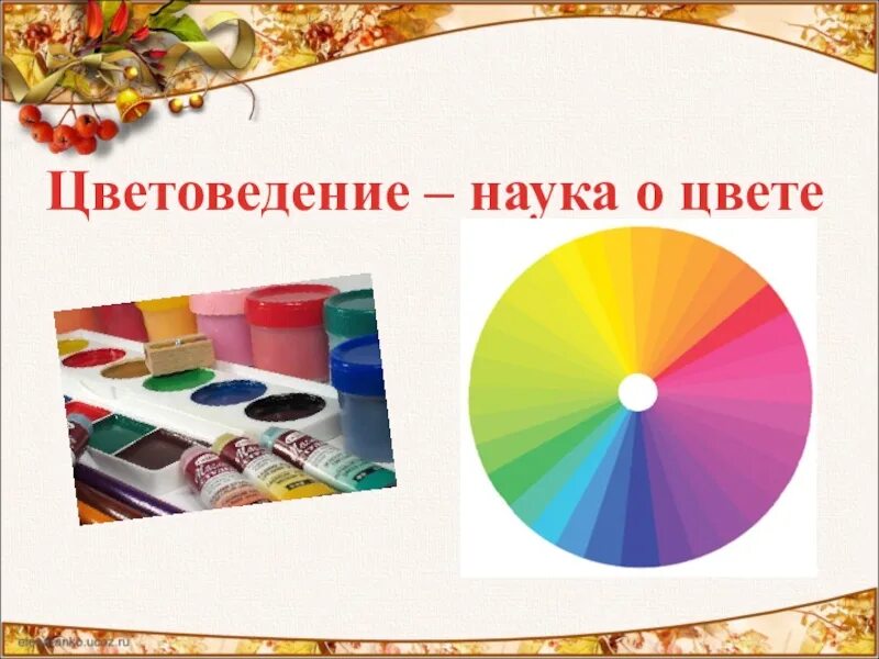Цветовой круг. Труд для презентации. Основы систематики растений. Основы безопасности жизнедеятельности. Основы 6 класс.